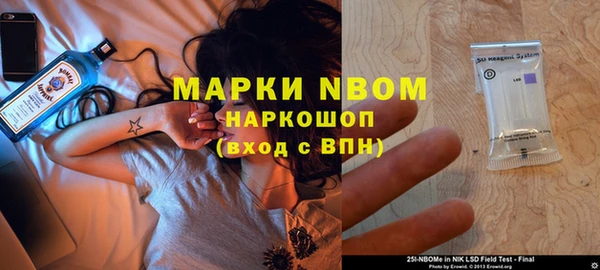 прущие грибы Абаза